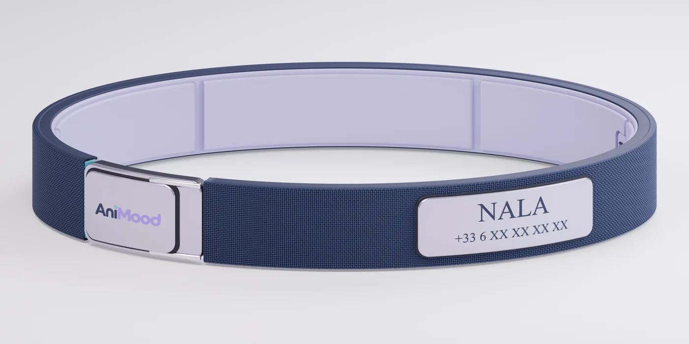 Collier AniMood indigo et lavande